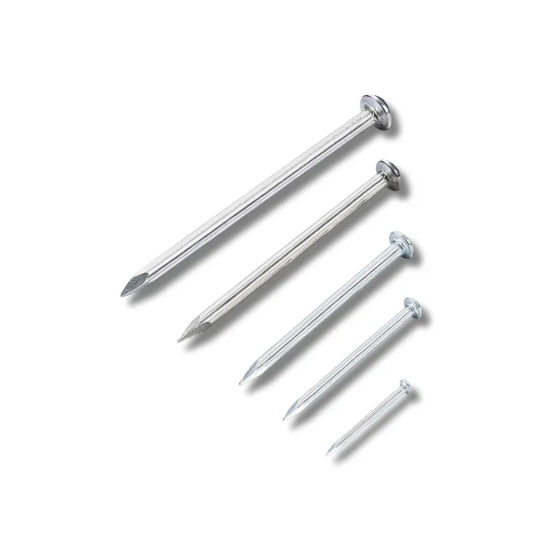 Paku Beton Putih VSM